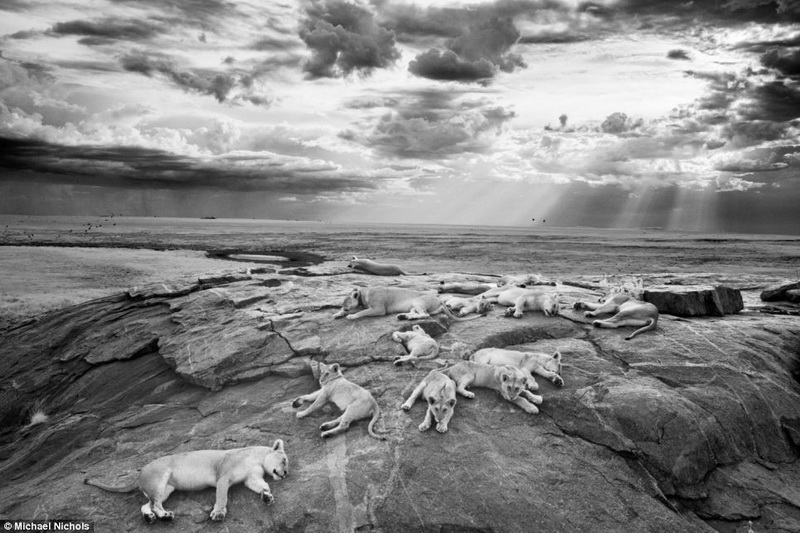 Sony представила самые лучшие фотографии со всего мира - ФОТО