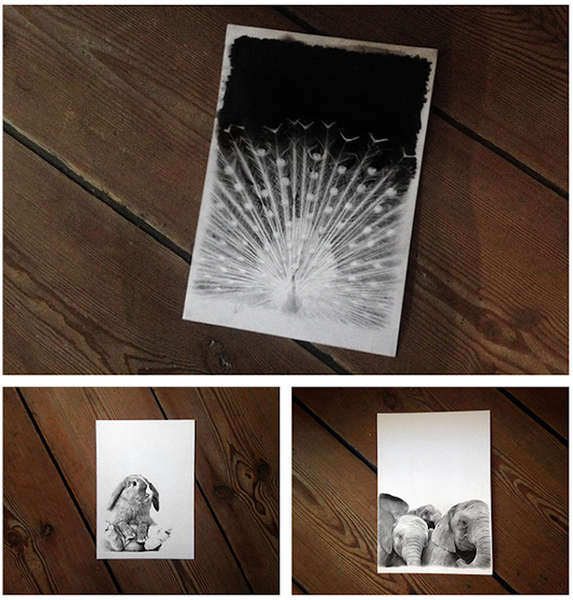 "Картинная галерея" Day.Az: Дикая красота - ФОТО