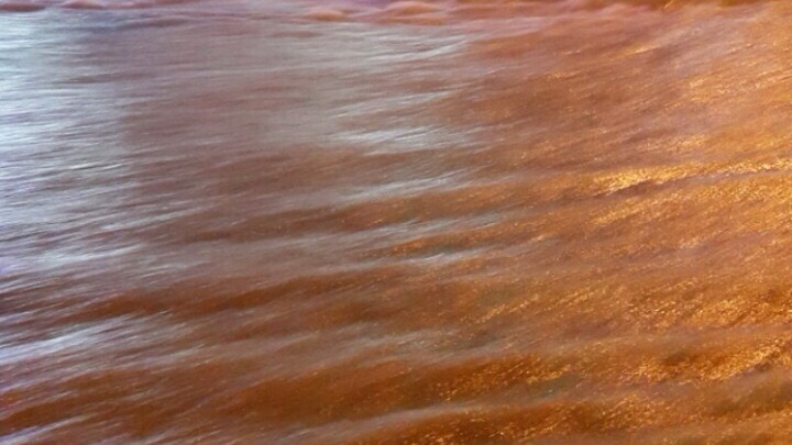 Трагедия в Тбилиси: по городу гуляют дикие звери - ОБНОВЛЕНО - ФОТО - ВИДЕО