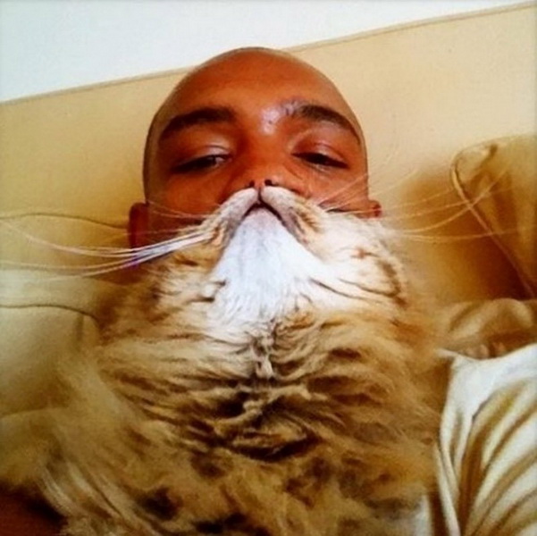 Котобороды – новое безумство в Сети - ФОТОСЕССИЯ