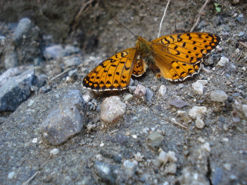 Невероятное путешествие в Лагидж – РЕПОРТАЖ - ФОТО