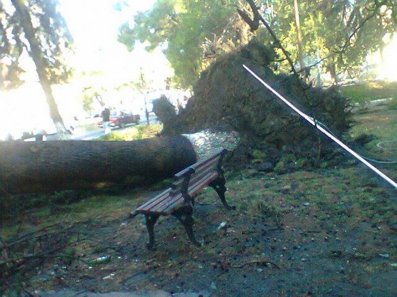 Külək iki rayonu viran elədi - YENİLƏNİB - FOTO