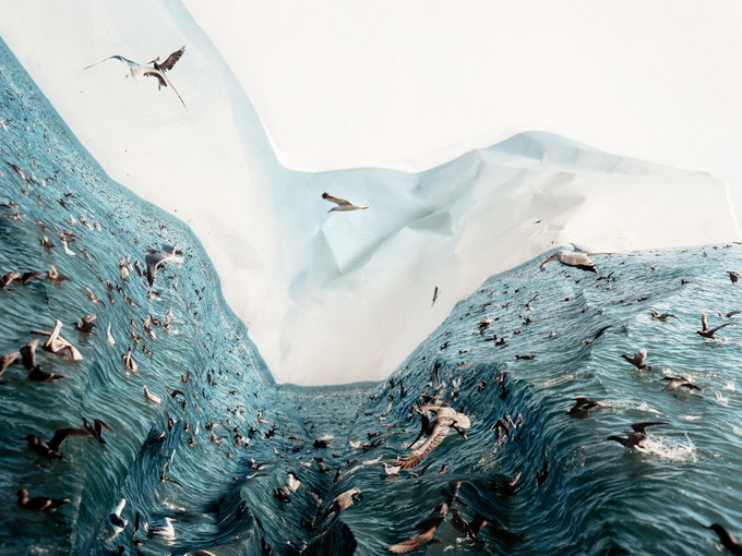 "Картинная галерея" Day.Az: Необычные пейзажи Лауры Плейгман - ФОТО