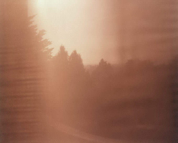 "Картинная галерея" Day.Az: Необычные пейзажи Лауры Плейгман - ФОТО