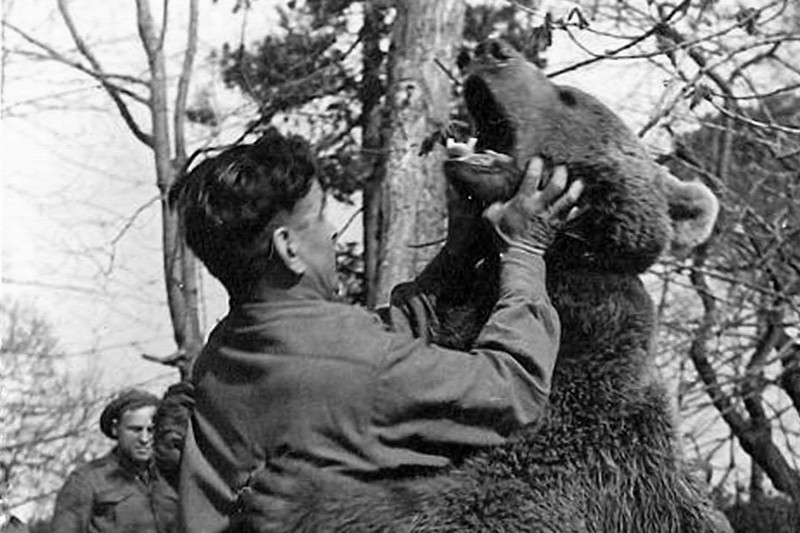 Войтек: история боевого медведя - ФОТОСЕССИЯ