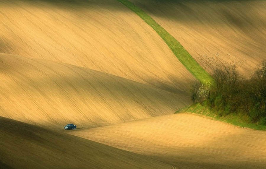 Зеленое цунами: холмистые поля Моравии - ФОТОСЕССИЯ