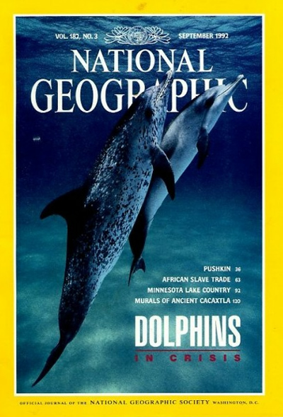 20 лучших обложек журнала National Geographic - ФОТОСЕССИЯ