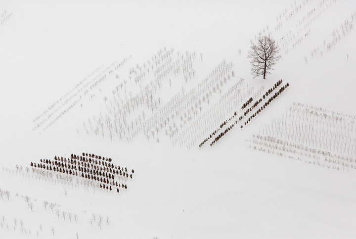 Лучше не бывает. Главные фотографии 2014 года по версии агентства Reuters - ФОТОСЕССИЯ