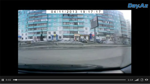 Очевидец удивлен: как это животное оказалось в центре города - ВИДЕО