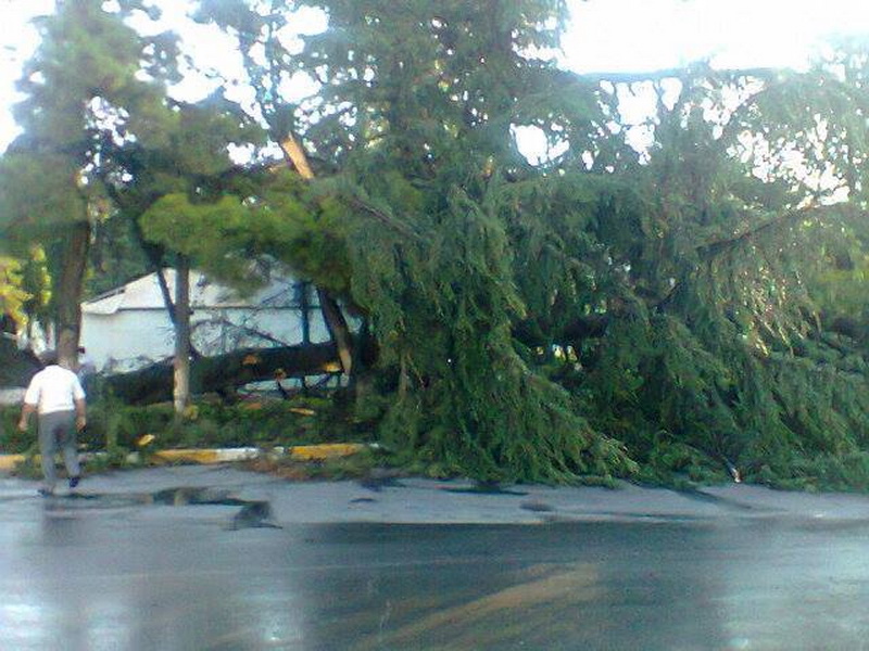 Külək iki rayonu viran elədi - YENİLƏNİB - FOTO