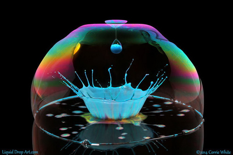 "Картинная галерея" Day.Az: Удивительная красота капель - ФОТО