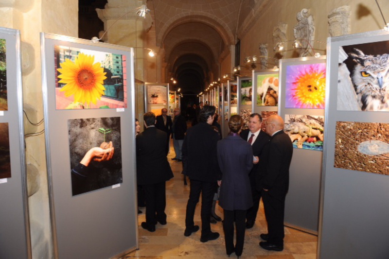 Лейла Алиева: "Азербайджан является лидером в регионе по реализации инициатив в области окружающей среды" - ФОТО
