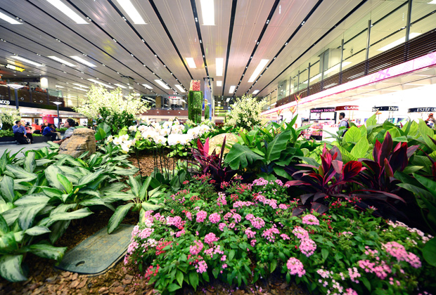 Пять аэропортов, в которых можно ждать вылета вечно - ФОТО