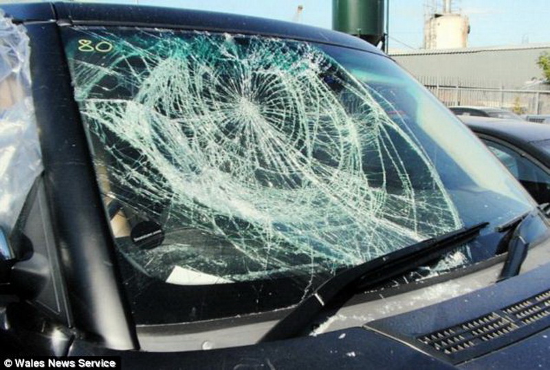 Полицейский, ставший Интернет-мемом, получил 440 000 фунтов стерлингов – ФОТО – ВИДЕО