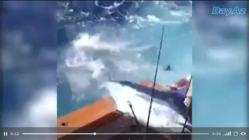 160-килограммовая рыба едва не заколола рыбаков в лодке - ВИДЕО