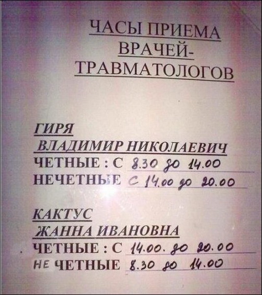 Забавные сочетания фамилий и профессий - ФОТОСЕССИЯ