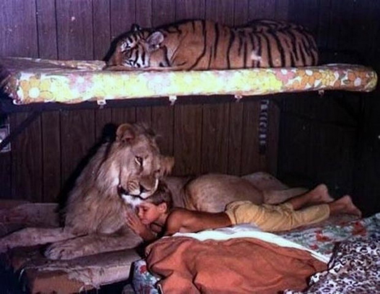 Красивые, милые, но очень опасные кошки - ФОТОСЕССИЯ