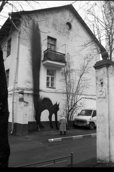 Самые крутые настенные надписи в городах мира за месяц - ФОТОСЕССИЯ
