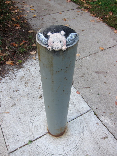 "Картинная галерея" Day.Az: Уличный художник Дэвид Зинн - ФОТО