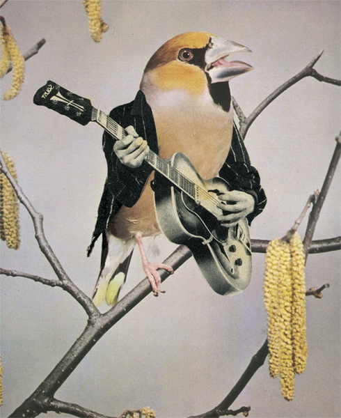 "Картинная галерея Day.Az": Работы бельгийского иллюстратора - ФОТО