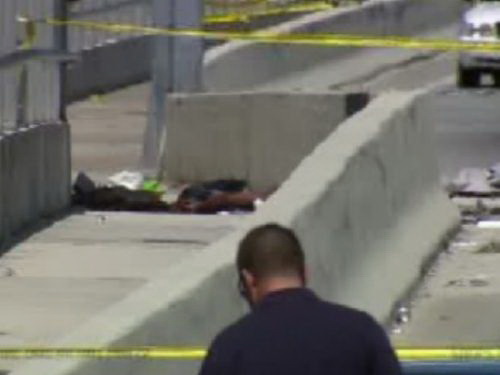 Обнародована фотография застреленного в Майами каннибала - ОБНОВЛЕНО – ФОТО - ВИДЕО