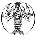 Плюсы и минусы каждого знака Зодиака - ФОТО
