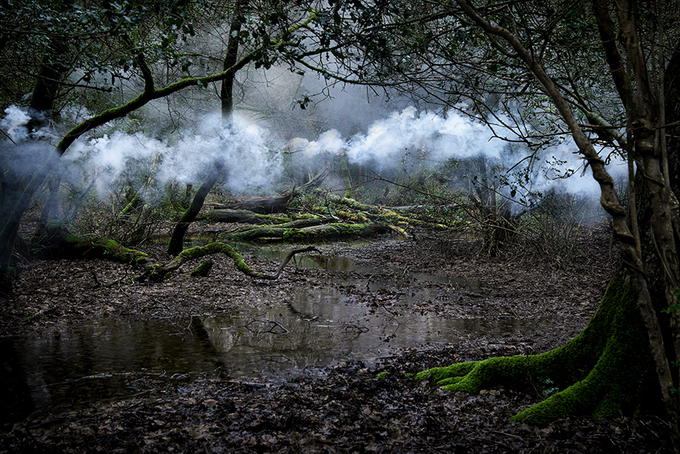 Sirli, müəmmalı meşə - FOTO