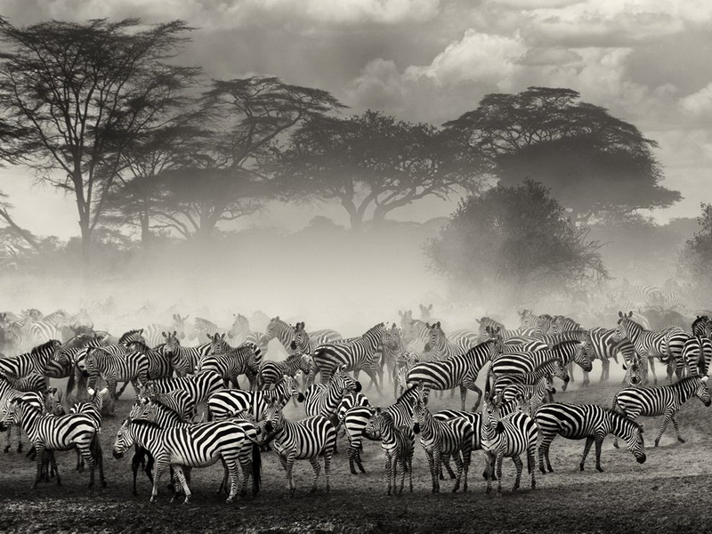 Изумительные обои для рабочего стола от National Geographic за апрель - ФОТОСЕССИЯ