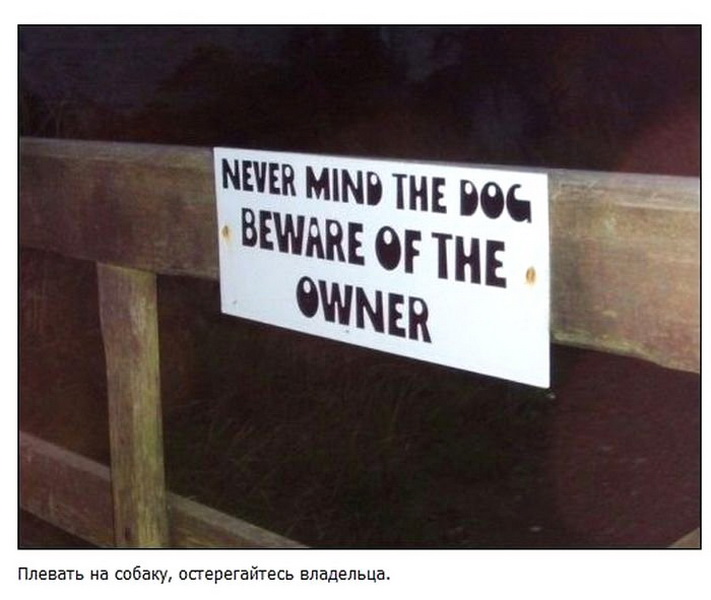 Самые забавные дорожные таблички по всему миру - ФОТО