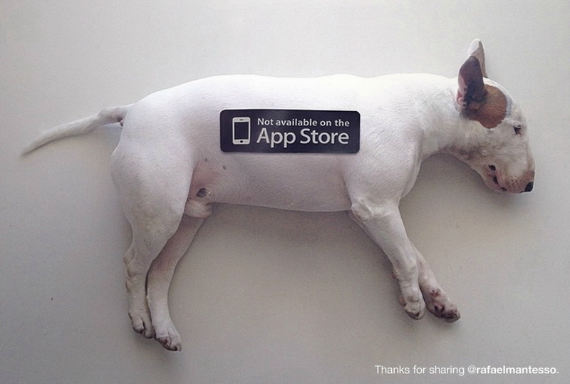 Фотопроект “Недоступно в AppStore” - ФОТОСЕССИЯ