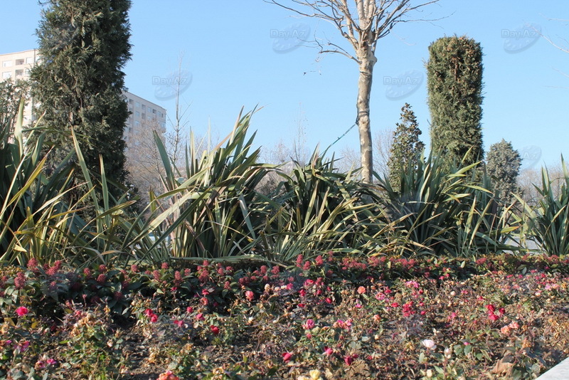 Проект "Мой Баку": Деде Горгуд. Один день у озера - РЕПОРТАЖ - ФОТО