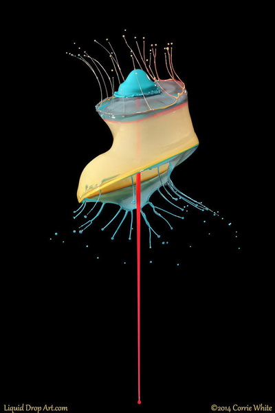 "Картинная галерея" Day.Az: Удивительная красота капель - ФОТО