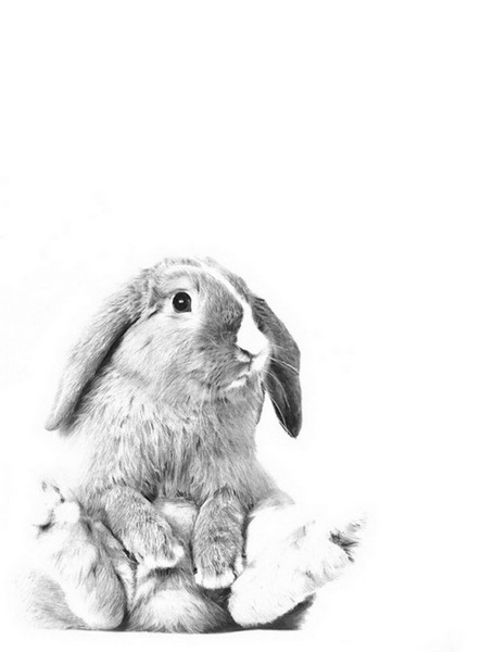 "Картинная галерея" Day.Az: Дикая красота - ФОТО