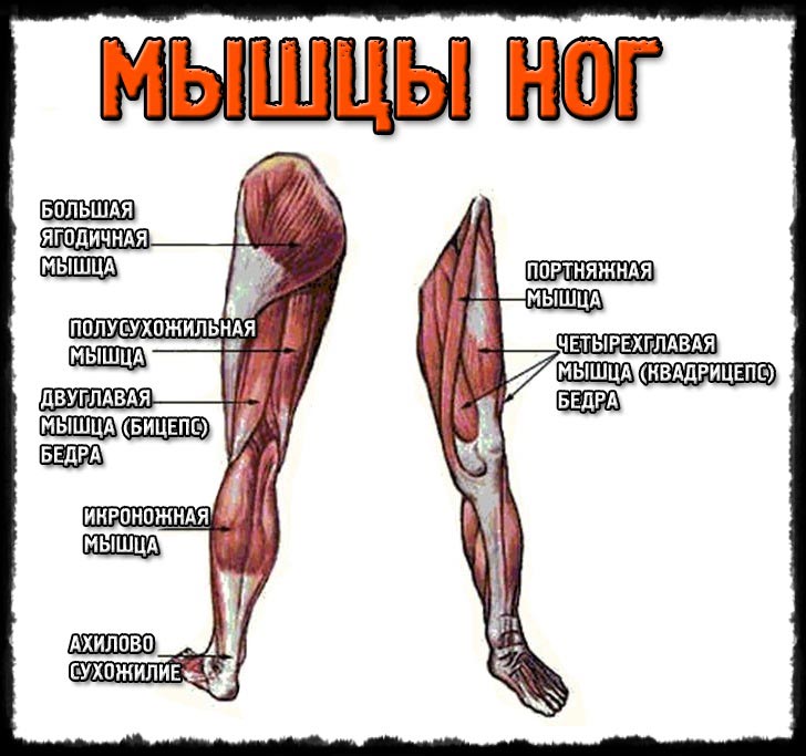 Как накачать красивые ноги - РАССКАЗЫВАЕТ ПРОФЕССИОНАЛ